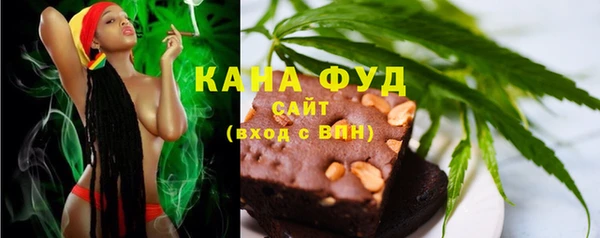 молекула духа Бородино