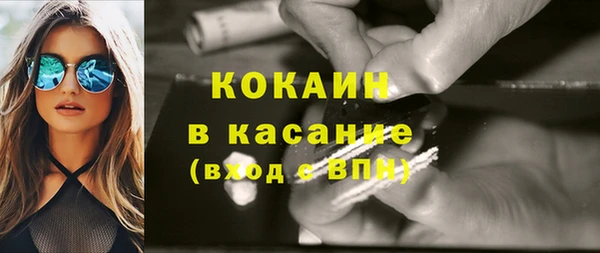 молекула духа Бородино