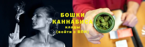 молекула духа Бородино