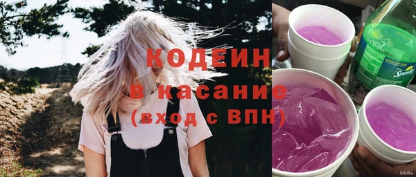 молекула духа Бородино