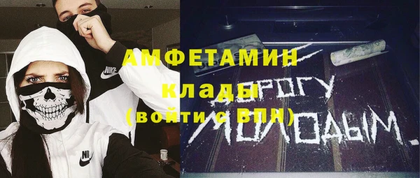 молекула духа Бородино