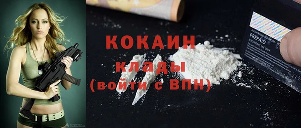 молекула духа Бородино