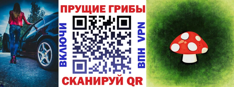 Псилоцибиновые грибы мицелий  Купить закладки  Тогучин 